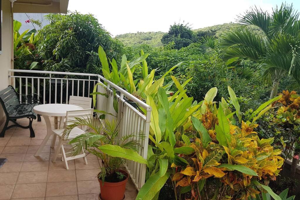 Villa En Pleine Nature Situee A 5Min D'Une Plage Le Gosier  Buitenkant foto